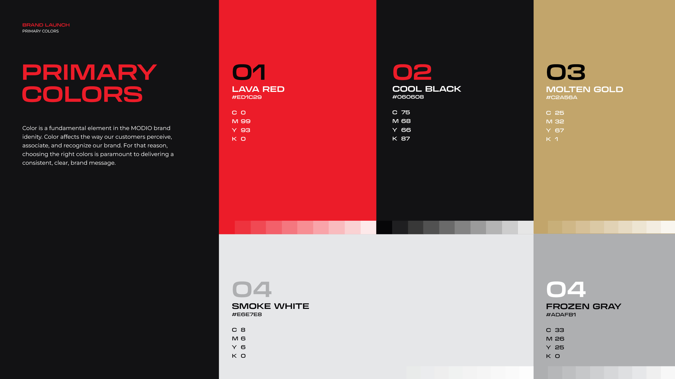 Project Visual