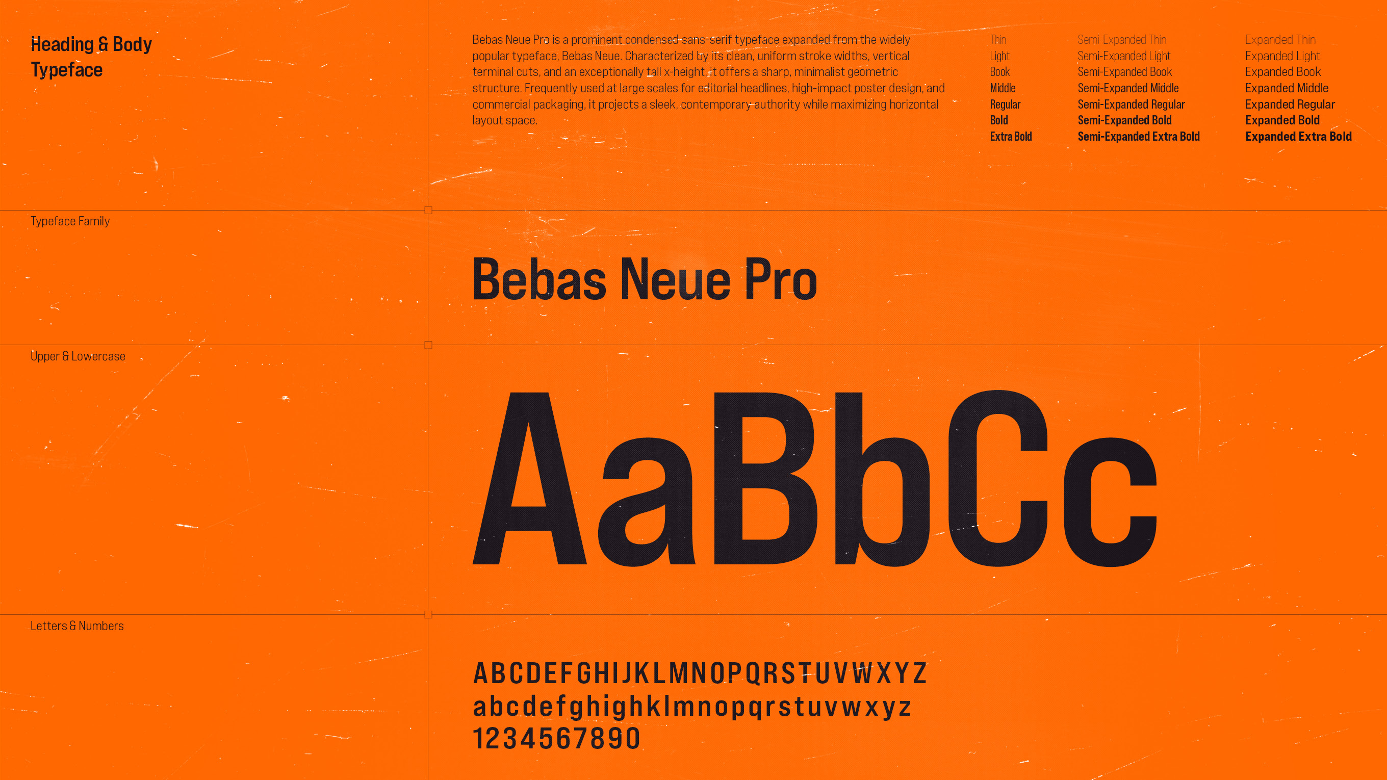Project Visual