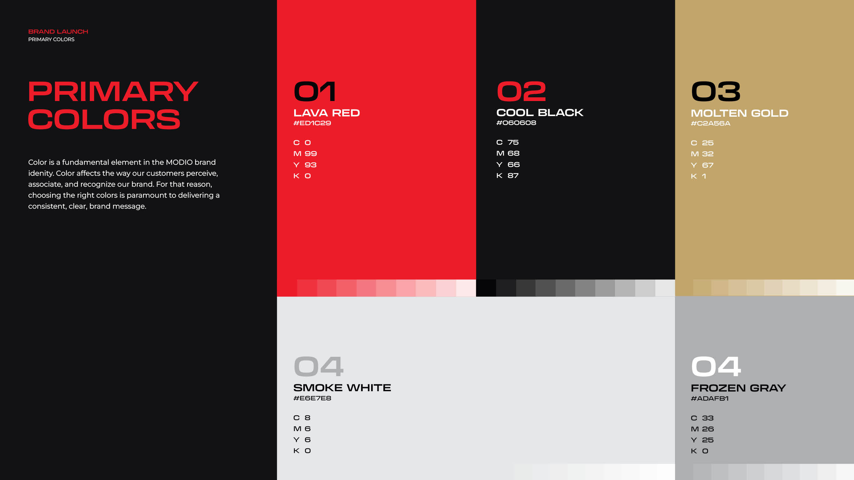 Project Visual